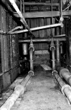 Ellenroadcellar098703