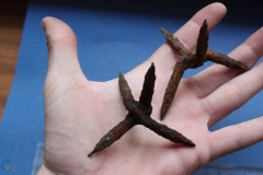 roman caltrop