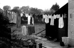 Washinglinehey766901