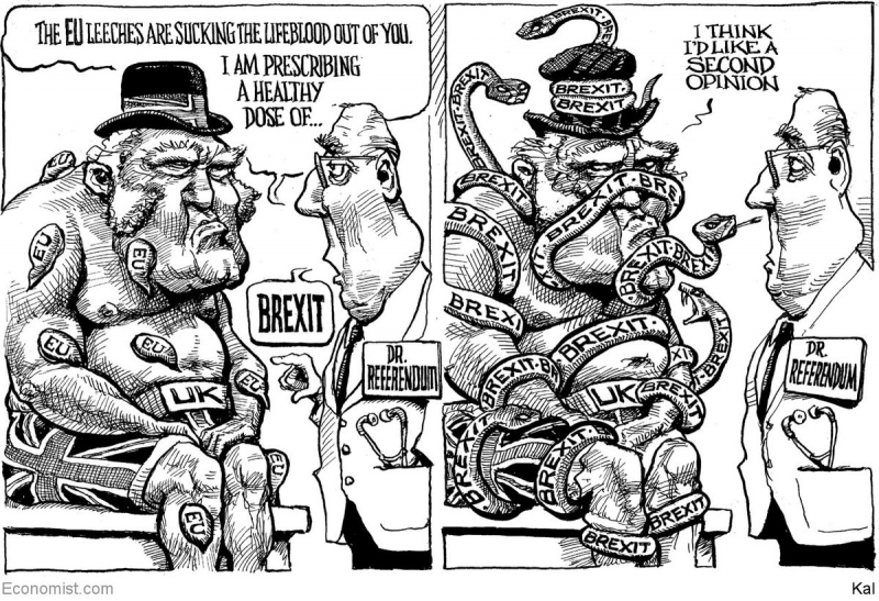 Brexit consequence cartoon