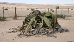 Mystery object 001
