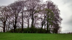 Castle Haugh Newsholme