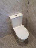 Toilet Final Fix