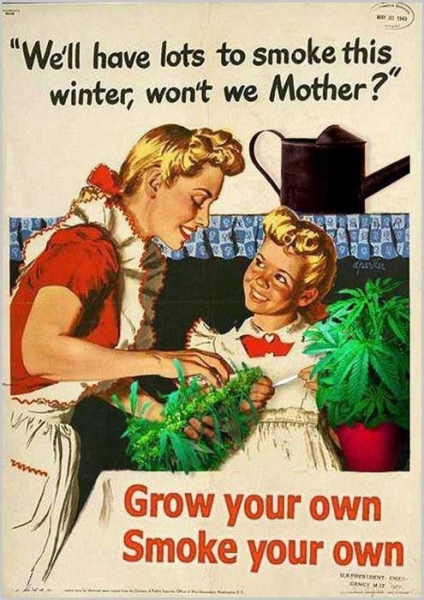 Grow-your-own