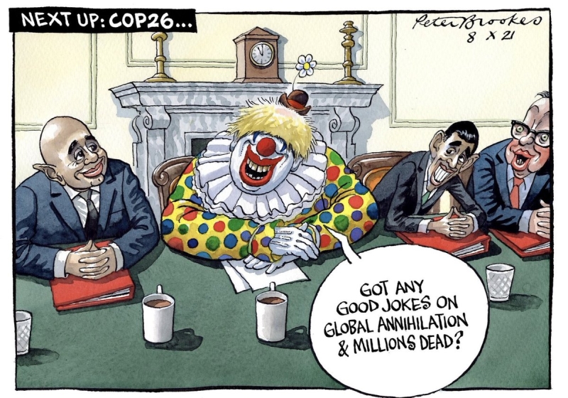 Johnson Cop26 cartoon