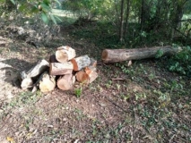 logs 5