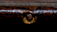 MYSTERY OBJECT 02 259