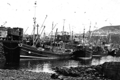 Mallaig Fishing boats 1950