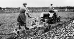 Women's Land Army WW1