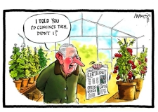 Charles cartoon