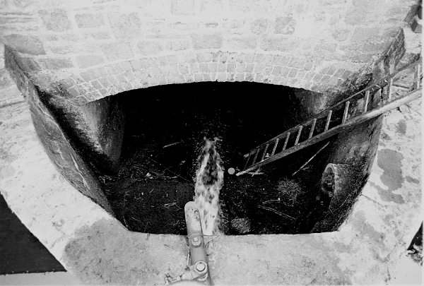 Calf Hallculvert