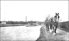canalhorse