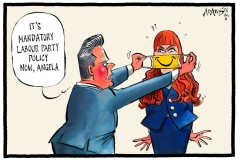 Searmer Rayner cartoon