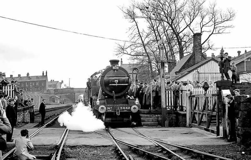 Barlick steam