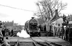 Barlick steam