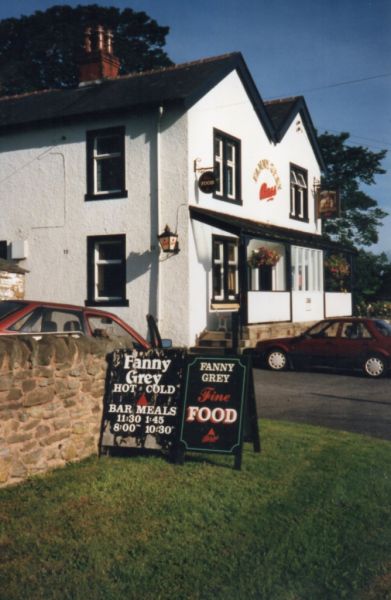 iLane head pub ( Fanny Grey )