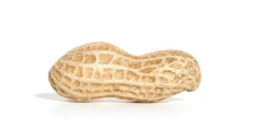 M O 02