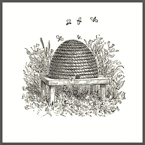 Vintage bee skep