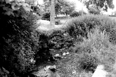 OldbridgePicklesHippings824801