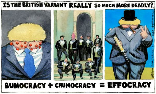 Johnson covid cartoon