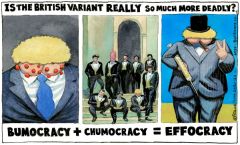 Johnson covid cartoon