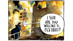 Patel fruit pick cartoon