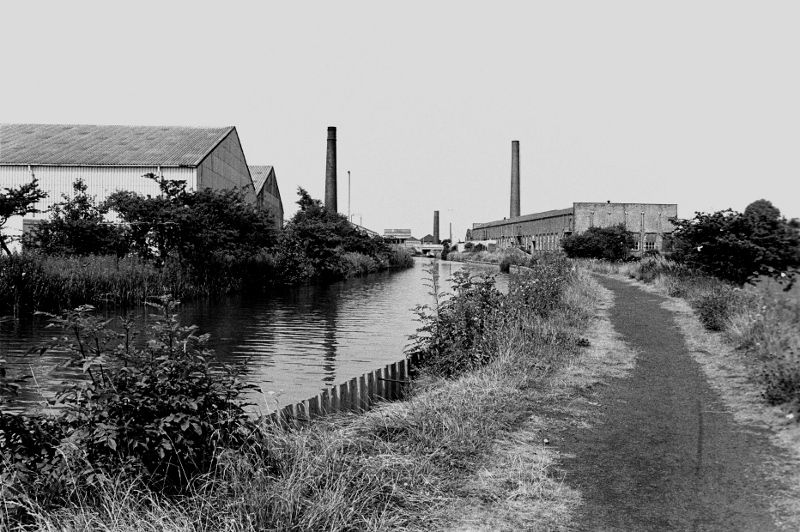 MossLongIngBarnsey824413