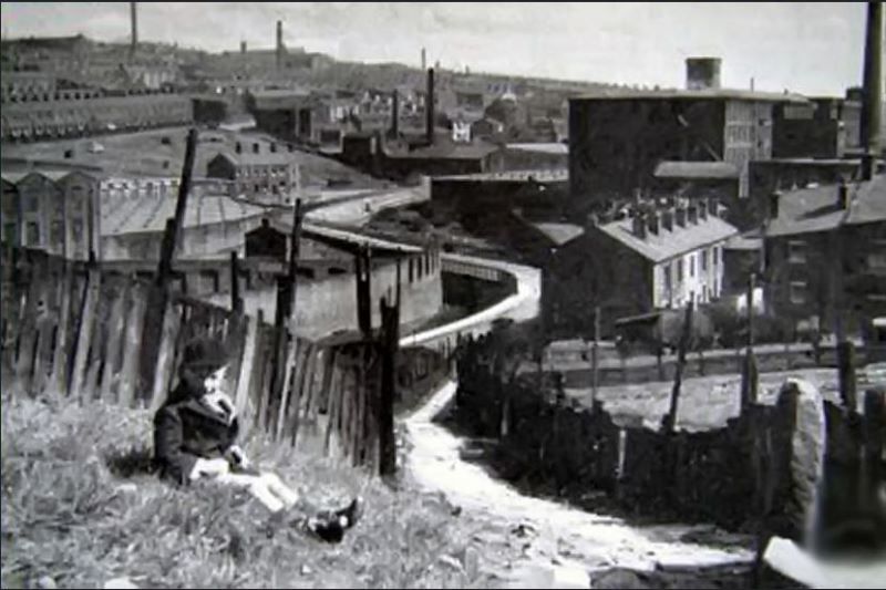 view from spring gardens