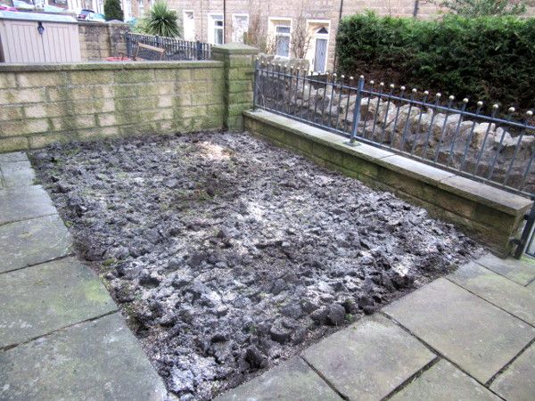Front Garden 020422
