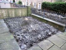 Front Garden 020422