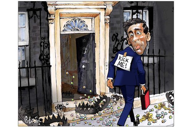 Sunak leadership cartoon