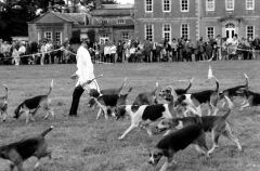 HoundsGisburnPark825901