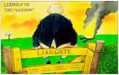 Liar gate cartoon