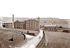 acre mill