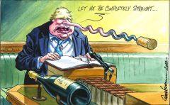 Johnson apology cartoon