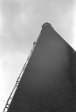 Swabsflue76209917