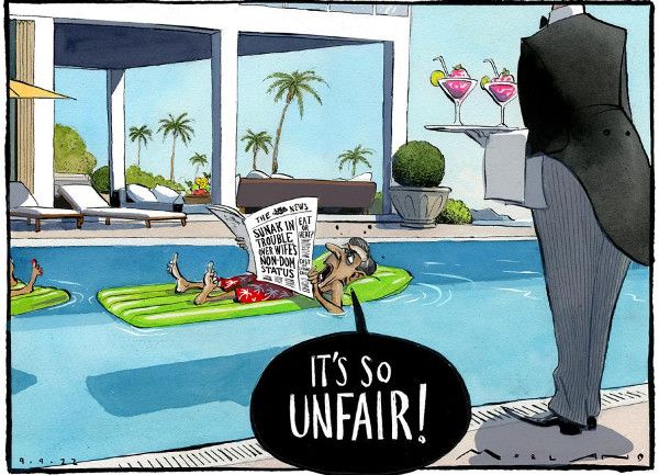 Sunak pool cartoon