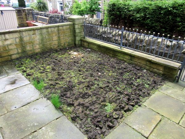 Front Garden 160522
