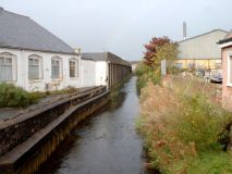 EarbyBeck1