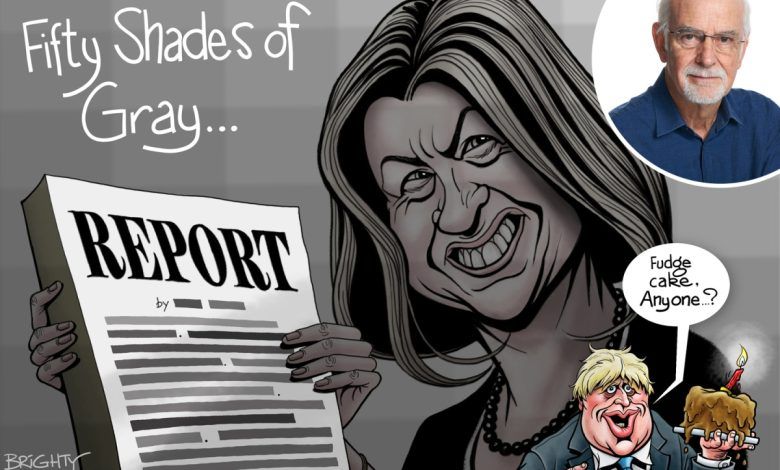 Sue Gray Cartoon 240522