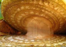 Mystery object 2267