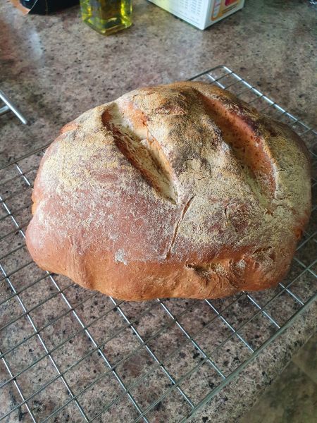 bloomer