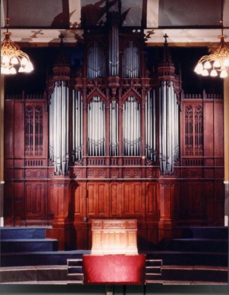 Bracewellorgan