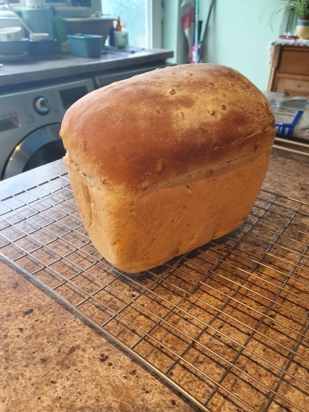 Sunflower Loaf