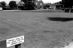 CroquetlawnNelsonCollege824001