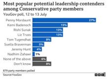 Conservative Party members choices
