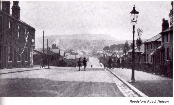 Reedyford Rd Nelson