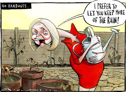 Truss cartoon