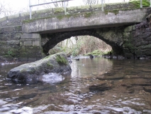 Pickles bridge upstream