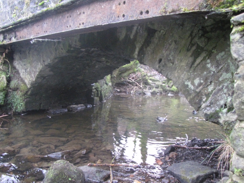Pickles bridge downstream